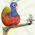 Chat Chick:3